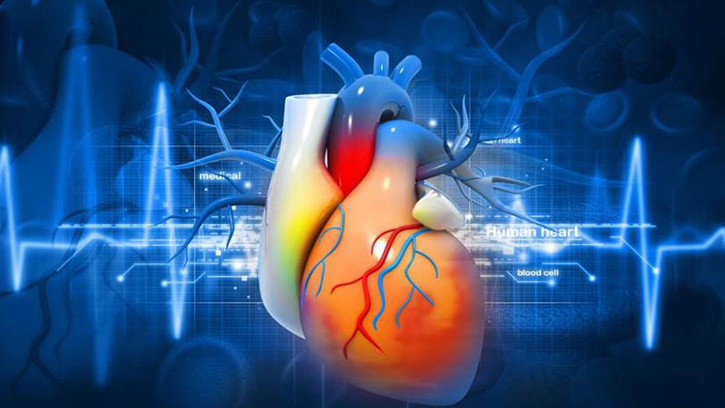 ঘরে বসে হার্ট পরীক্ষা? এআই আনছে নতুন সম্ভাবনা