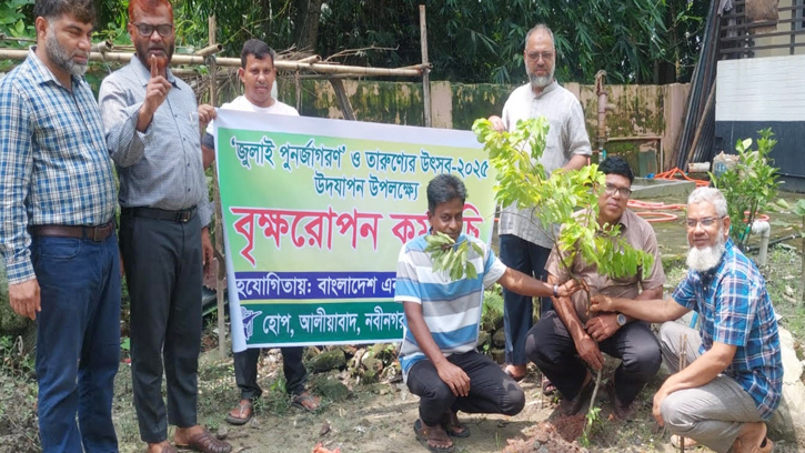 নবীনগরে হোপ সংস্থার বৃক্ষরোপণ কর্মসূচি