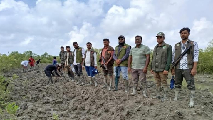 মহেশখালীতে যুবদল নেতার চিংড়িঘের গুড়িয়ে দিয়েছে বনবিভাগ 