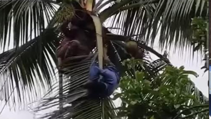 বিদ্যুৎস্পৃষ্টে প্রাণ গেল ব্যবসায়ীর