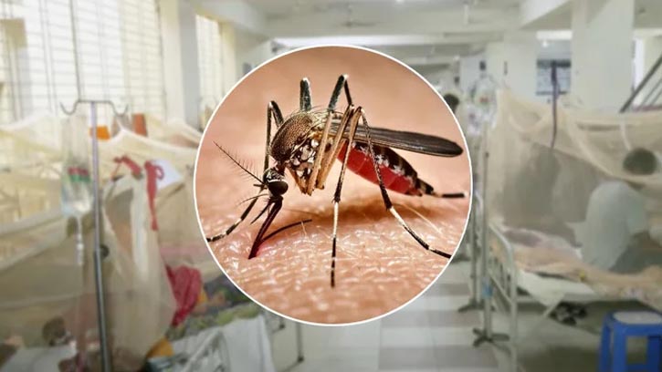 ডেঙ্গু পরিস্থিতি: নতুন আক্রান্ত ১২৬, মৃত্যু নেই