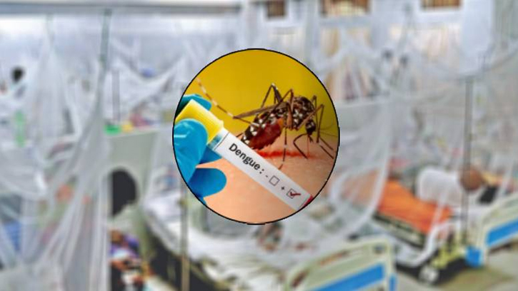 ডেঙ্গুতে প্রাণ গেল ৩ জনের, নতুন রোগী ৩৬৩ 