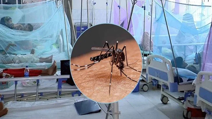 ২৪ ঘণ্টায় ১৭৩ ডেঙ্গু রোগী ভর্তি, মৃত্যুর ঘটনা নেই