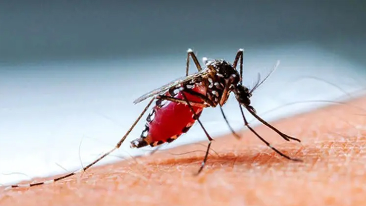 ডেঙ্গুতে মৃত্যু আরও ২, হাসপাতালে ভর্তি ৪৪৫