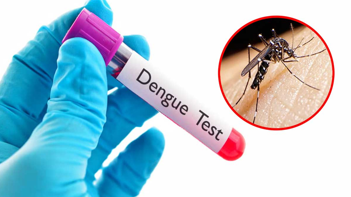 ডেঙ্গুতে মৃত্যু ২, হাসপাতালে নতুন ভর্তি ৬২৫