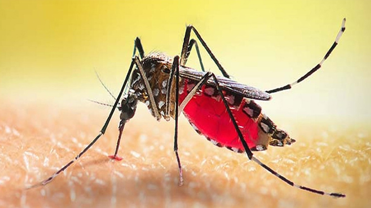 ডেঙ্গুতে একদিনে হাসপাতালে ৬৩৬ জন, মৃত্যু ৫ 