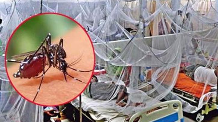 ২৪ ঘণ্টায় ডেঙ্গুতে মৃত্যু আরও ৪