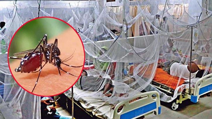 ২৪ ঘণ্টায় ডেঙ্গুতে মৃত্যু আরও ৮