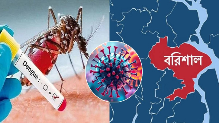 ডেঙ্গুতে জর্জরিত বরিশাল-চট্টগ্রাম, আক্রান্ত বাড়ছেই...