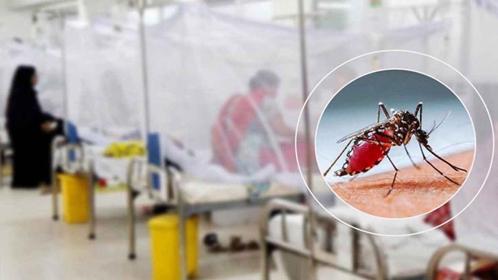 চলতি বছরে ডেঙ্গুতে মৃত্যু ৩৯৮, হাসপাতালে ভর্তি ৪৫৫