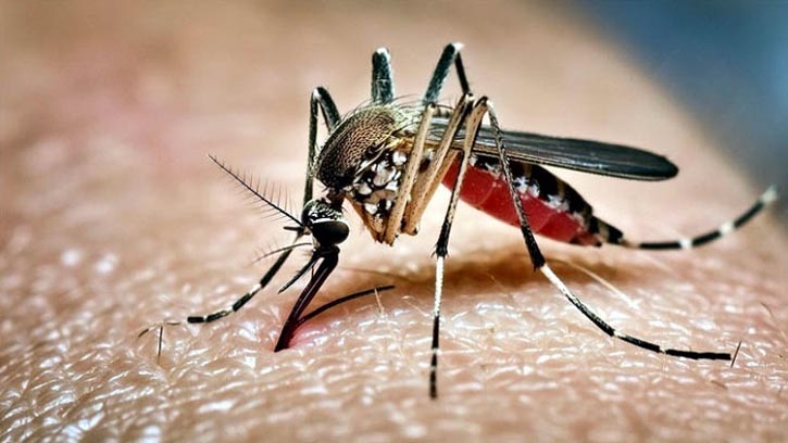 ডেঙ্গুতে মৃত্যু বেড়ে ৪১৩, নতুন আক্রান্ত হাসপাতালে ১২০