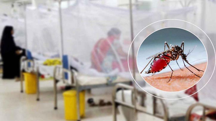 একদিনে ডেঙ্গুতে মৃত্যু নেই, হাসপাতালে ভর্তি ৫২