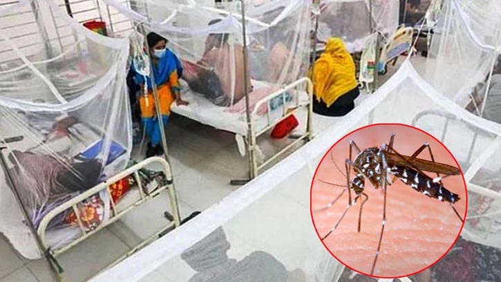 ডেঙ্গুতে মৃত্যুহীন দিনে হাসপাতালে ভর্তি ৩৪