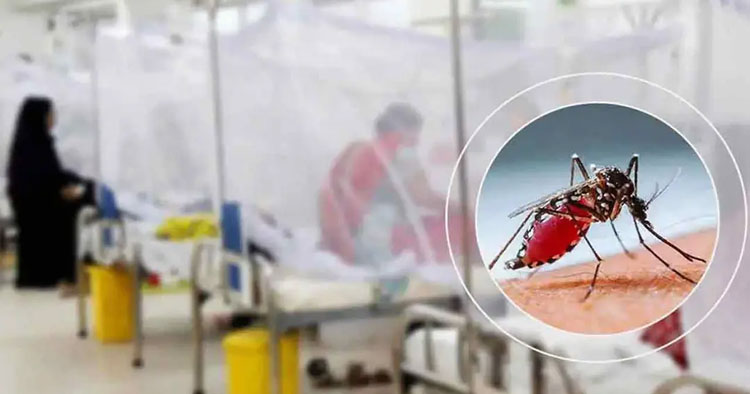ডেঙ্গুতে আরও ৯ মৃত্যু, হাসপাতালে ভর্তি ১ হাজার ৯০২