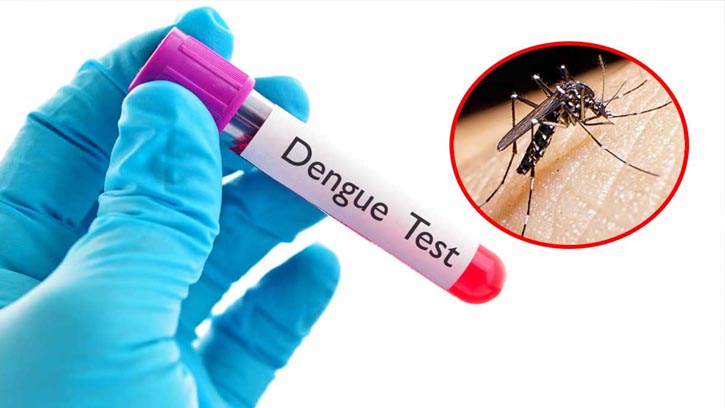 ডেঙ্গুতে ২৪ ঘণ্টায় হাসপাতালে ভর্তি ৩৬, মৃত্যু নেই