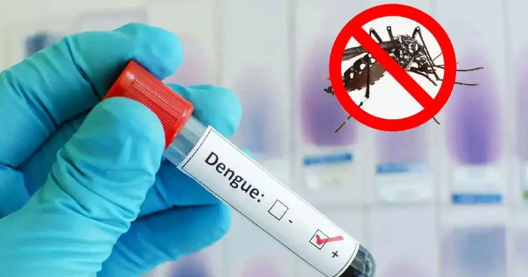 ডেঙ্গুতে আরও ৭ মৃত্যু, হাসপাতালে ভর্তি ১ হাজার ৭৫৩