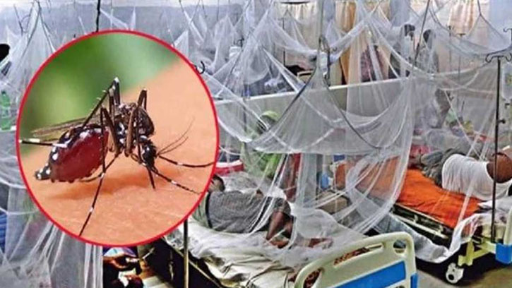সারাদেশে ডেঙ্গুতে মৃত্যু ৪, হাসপাতালে ভর্তি ২৪৭