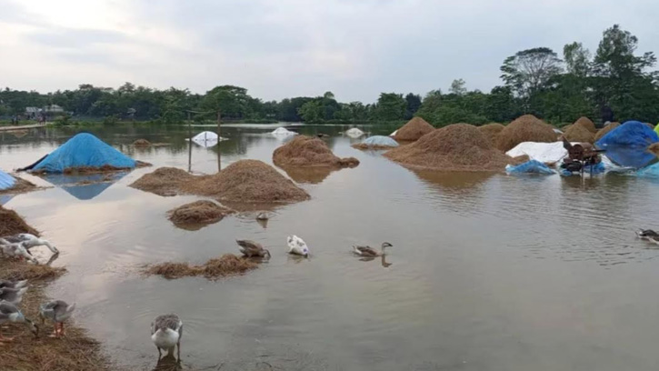 মৌলভীবাজারে ডুবছে কৃষকের স্বপ্ন