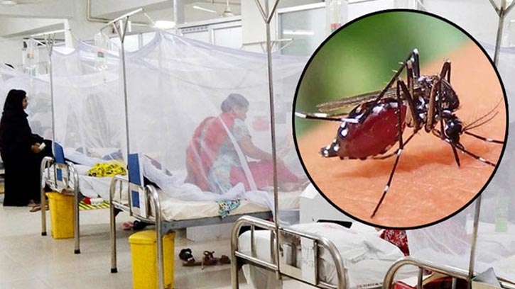 দেশে ডেঙ্গু আক্রান্ত ৩৫, ২৪ ঘণ্টায় কারও মৃত্যু হয়নি