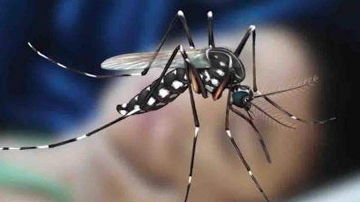 ডেঙ্গুতে আরও ৩ জনের মৃত্যু, হাসপাতালে ভর্তি ৫৯৩