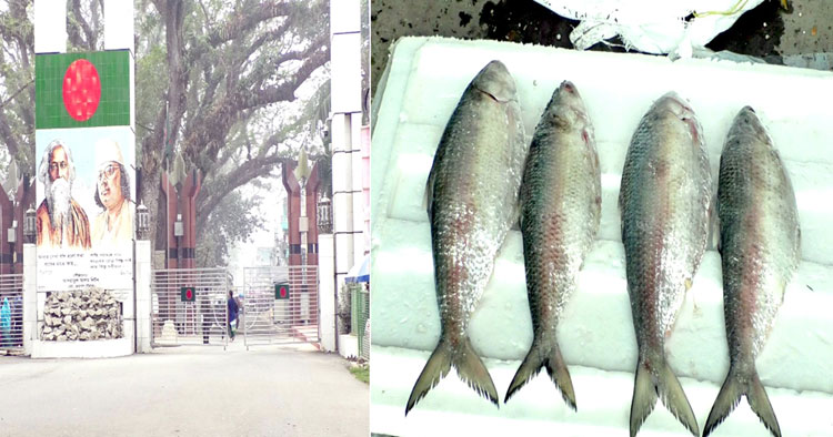 ভারত থেকে ইলিশ আমদানি বন্ধ, বাতিল ১০৩ অনাপত্তি সনদ