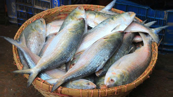 ভারতে গেলো সাড়ে ৩৭ টন ইলিশ