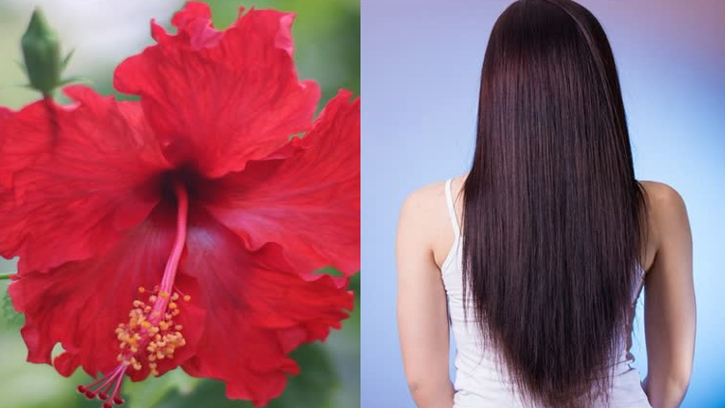 নতুন চুল গজাতে জবা ফুলের হেয়ার প্যাক কার্যকর