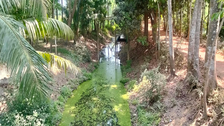 লক্ষ্মীপুরে প্রাচীন খাল পুনঃখননের দাবিতে সোচ্চার কৃষকরা
