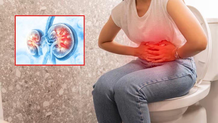 টয়লেটে বসেই ধরা পড়বে কিডনি রোগ!