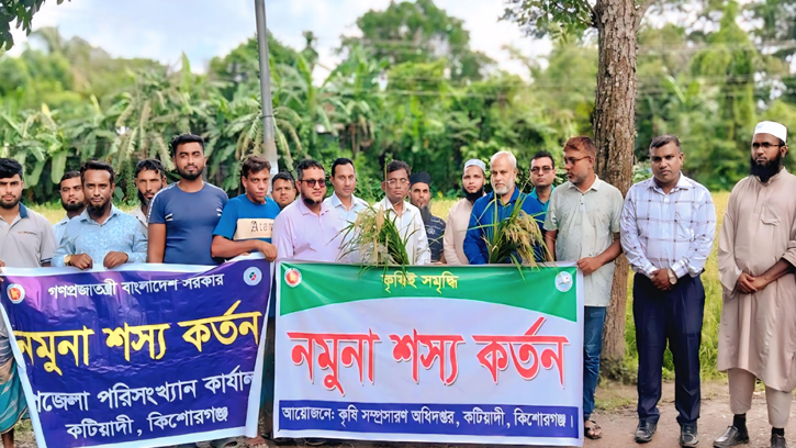 কটিয়াদীতে আউশ ধানের নমুনা শস্য কর্তন উদ্বোধন