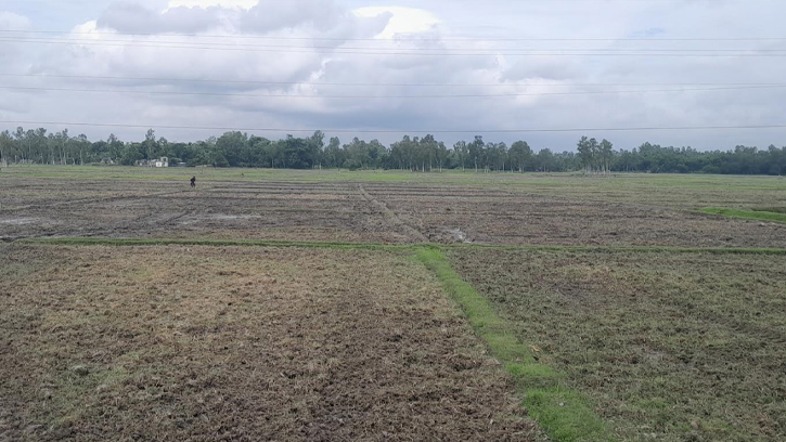 পঞ্চগড়ে ভরা বর্ষা মৌসুমে চলছে খরা