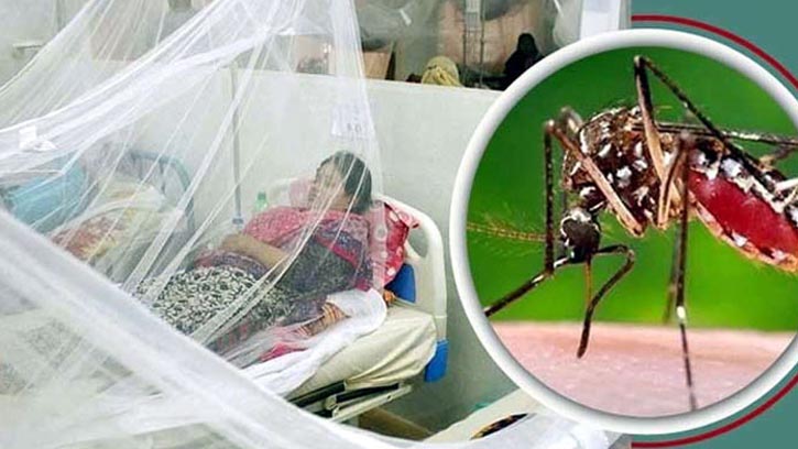 ডেঙ্গুতে একদিনে হাসপাতালে ১১১, মৃত্যু নেই