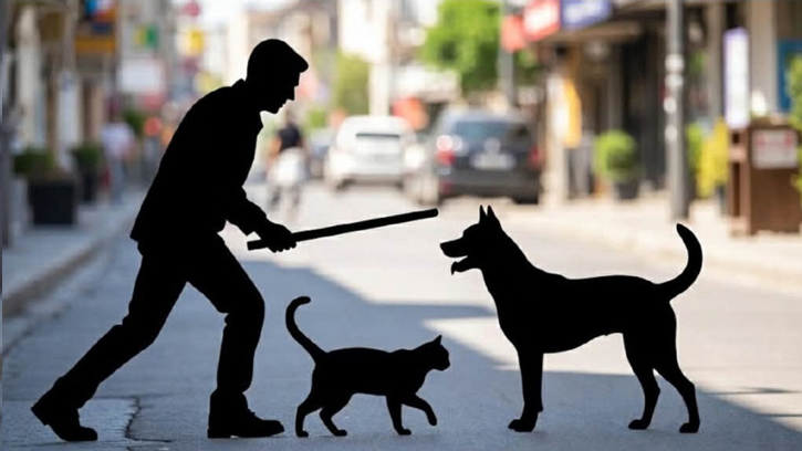 পথ কুকুর বা বিড়াল হত্যা করলে বাংলাদেশের আইনে কী শাস্তি আছে