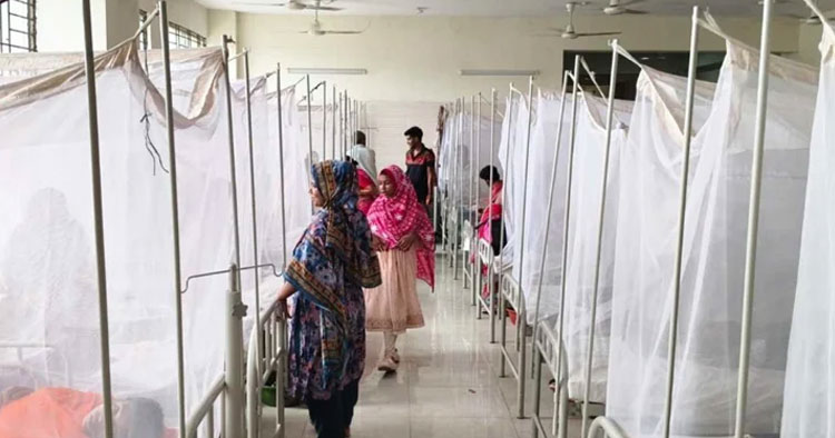 ডেঙ্গুতে আরও ৭ মৃত্যু, হামের উপসর্গে একজনের মৃত্যু