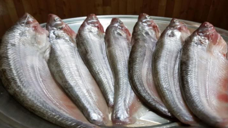 ভারতে চাহিদা বাংলাদেশি পাবদা মাছের