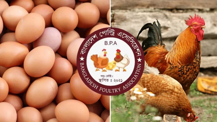 দাম বৃদ্ধির প্রতিবাদে বিপিএ’র হুঁশিয়ারি, উৎপাদন বন্ধের সম্ভাবনা