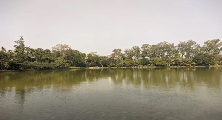 পানিতে ডুবে বৃদ্ধার মৃত্যু