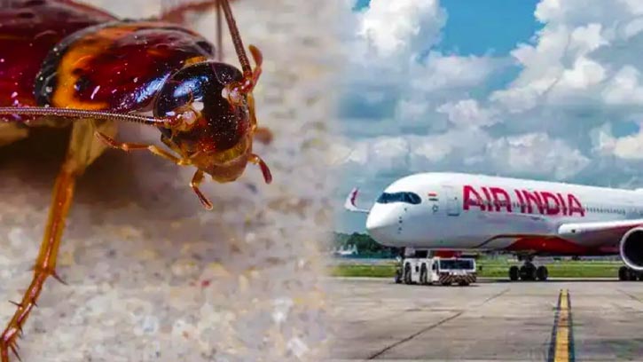 সোশ্যাল মিডিয়ায় ভাইরাল: এয়ার ইন্ডিয়ার ফ্লাইটে তেলাপোকা ঝুলিয়ে হত্যা