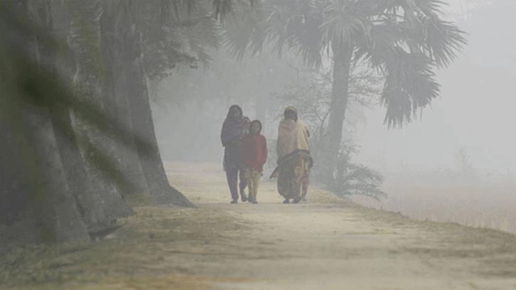হাড়কাঁপানো শীতে কাঁপছে চুয়াডাঙ্গা, তাপমাত্রা ৮ ডিগ্রি