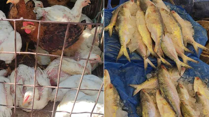 ইলিশের দাম আকাশচুম্বী, কমেছে ব্রয়লার ও সোনালির দাম