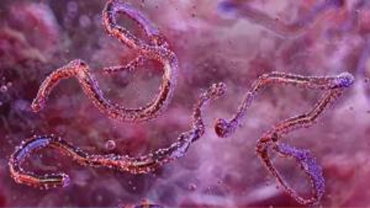 আফ্রিকায় ইবোলার চেয়েও ভয়ংকর ভাইরাসের প্রাদুর্ভাব