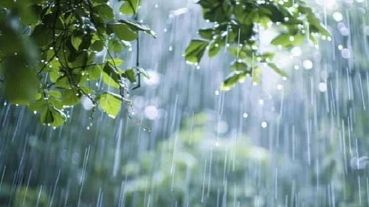 আবহাওয়ার পূর্বাভাস: দুই বিভাগে বৃষ্টি হতে পারে