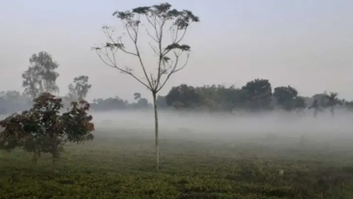শীতের দাপট বৃদ্ধি পেতে চলেছে, তাপমাত্রা সপ্তাহজুড়ে নিম্নমুখী