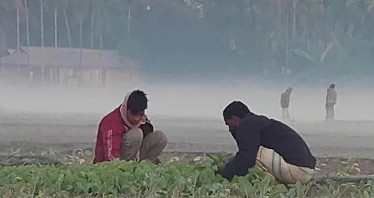 অতীতের সব রেকর্ড ভেঙে, দেশে তীব্র শৈত্যপ্রবাহ