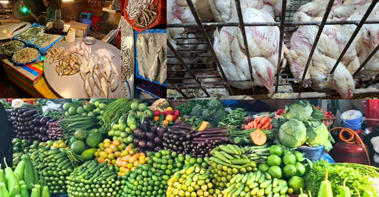 এক সপ্তাহে ব্রয়লার মুরগির দাম বেড়ে ২৩০ টাকা, ক্রেতাদের চাপ বেড়েছে