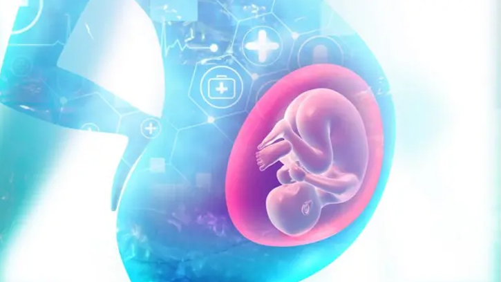 গর্ভধারণের আগে এবং গর্ভাবস্থায় নারীর শরীরে আশ্চর্য পরিবর্তন