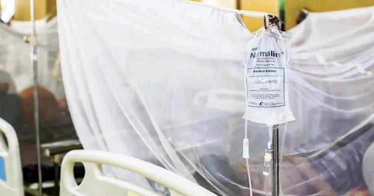 ডেঙ্গুতে আরও ৩ মৃত্যু, ২৪ ঘণ্টায় হাসপাতালে ৮০৫