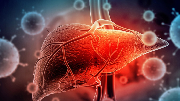 লিভার নষ্ট হলে শরীরে কী কী সমস্যা দেখা দেয়?
